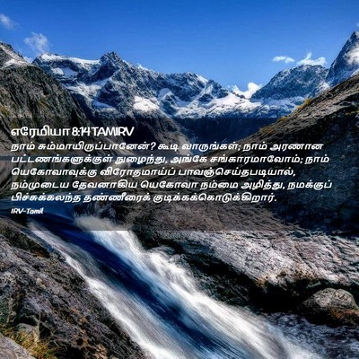 Picture 02 - எரேமியா 8:14 TAMIRV - நாம் - Bible Verse Picture