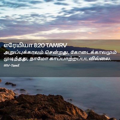 Picture 02 - எரேமியா 8:20 TAMIRV - அறுப்புக்காலம் - Bible Verse Picture