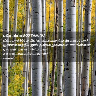 Picture 02 - எரேமியா 8:22 TAMIRV - கீலேயாத்திலே - Bible Verse Picture