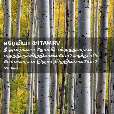 Picture 02 - எரேமியா 8:4 TAMIRV - நீ அவர்களை நோக்கி: - Bible Verse Picture