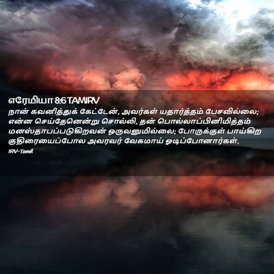 Picture 02 - எரேமியா 8:6 TAMIRV - நான் கவனித்துக் - Bible Verse Picture