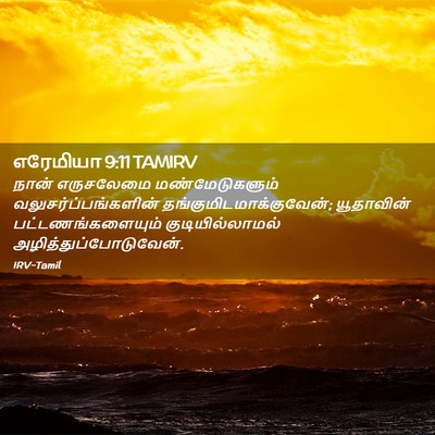 Picture 02 - எரேமியா 9:11 TAMIRV - நான் எருசலேமை - Bible Verse Picture