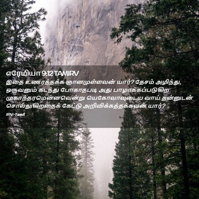 Picture 02 - எரேமியா 9:12 TAMIRV - இதை உணரத்தக்க - Bible Verse Picture