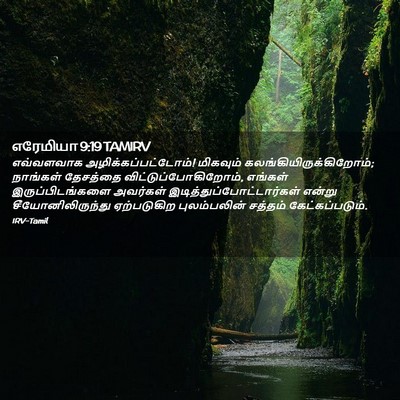 Picture 02 - எரேமியா 9:19 TAMIRV - எவ்வளவாக - Bible Verse Picture