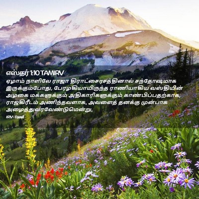 Picture 02 - எஸ்தர் 1:10 TAMIRV - ஏழாம் நாளிலே ராஜா - Bible Verse Picture