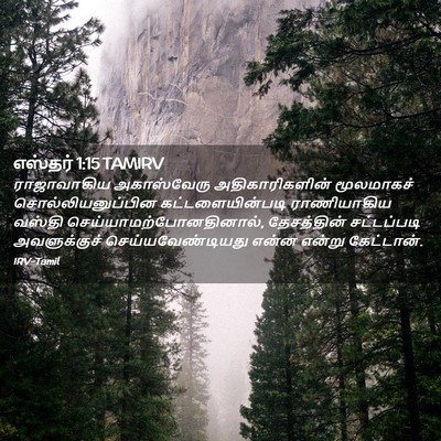 Picture 02 - எஸ்தர் 1:15 TAMIRV - ராஜாவாகிய - Bible Verse Picture