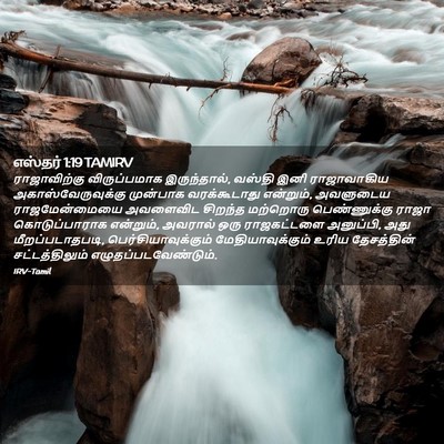 Picture 02 - எஸ்தர் 1:19 TAMIRV - ராஜாவிற்கு - Bible Verse Picture