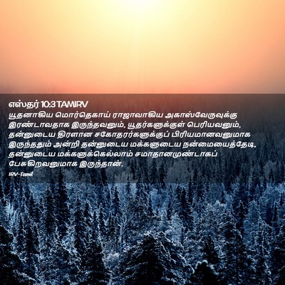 Picture 02 - எஸ்தர் 10:3 TAMIRV - யூதனாகிய - Bible Verse Picture