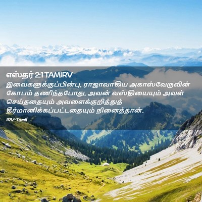 Picture 02 - எஸ்தர் 2:1 TAMIRV -  - Bible Verse Picture