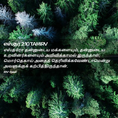 Picture 02 - எஸ்தர் 2:10 TAMIRV - எஸ்தரோ தன்னுடைய - Bible Verse Picture