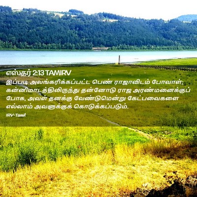 Picture 02 - எஸ்தர் 2:13 TAMIRV - இப்படி - Bible Verse Picture