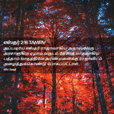 Picture 02 - எஸ்தர் 2:16 TAMIRV - அப்படியே எஸ்தர் - Bible Verse Picture