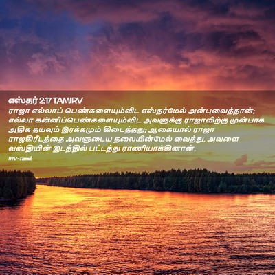 Picture 02 - எஸ்தர் 2:17 TAMIRV - ராஜா எல்லாப் - Bible Verse Picture