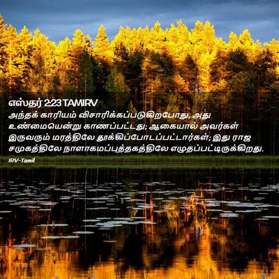 Picture 02 - எஸ்தர் 2:23 TAMIRV - அந்தக் காரியம் - Bible Verse Picture