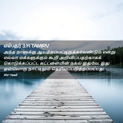 Picture 02 - எஸ்தர் 3:14 TAMIRV - அந்த நாளுக்கு - Bible Verse Picture