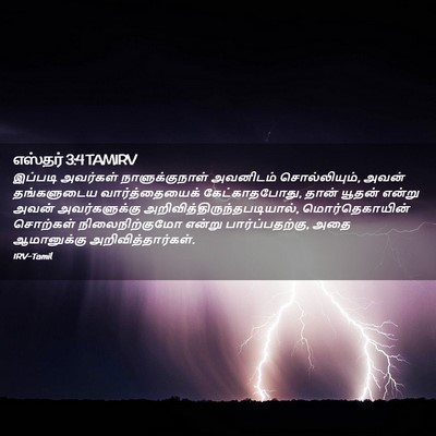 Picture 02 - எஸ்தர் 3:4 TAMIRV - இப்படி அவர்கள் - Bible Verse Picture