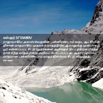 Picture 02 - எஸ்தர் 3:7 TAMIRV - ராஜாவாகிய - Bible Verse Picture