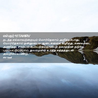 Picture 02 - எஸ்தர் 4:1 TAMIRV - நடந்த - Bible Verse Picture