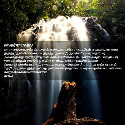 Picture 02 - எஸ்தர் 4:11 TAMIRV - யாராவது - Bible Verse Picture