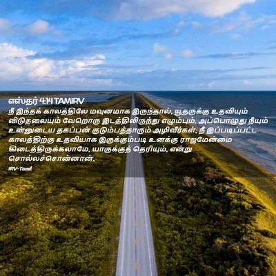 Picture 02 - எஸ்தர் 4:14 TAMIRV - நீ இந்தக் - Bible Verse Picture