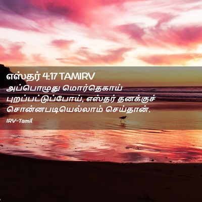Picture 02 - எஸ்தர் 4:17 TAMIRV - அப்பொழுது - Bible Verse Picture