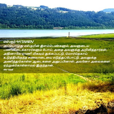 Picture 02 - எஸ்தர் 4:4 TAMIRV - அப்பொழுது - Bible Verse Picture