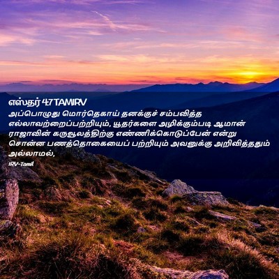 Picture 02 - எஸ்தர் 4:7 TAMIRV - அப்பொழுது - Bible Verse Picture