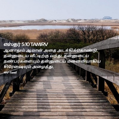 Picture 02 - எஸ்தர் 5:10 TAMIRV - ஆனாலும் ஆமான் அதை - Bible Verse Picture