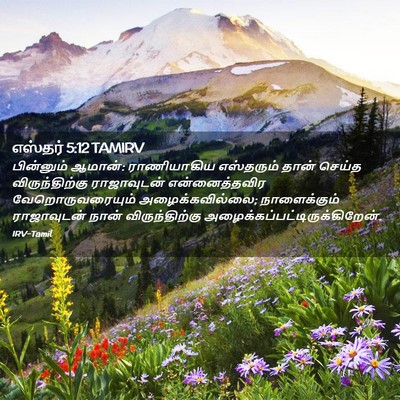 Picture 02 - எஸ்தர் 5:12 TAMIRV - பின்னும் ஆமான்: - Bible Verse Picture