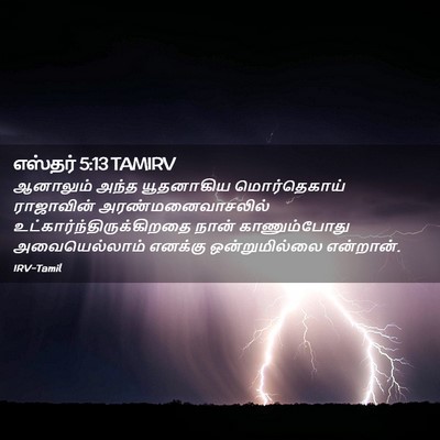 Picture 02 - எஸ்தர் 5:13 TAMIRV - ஆனாலும் அந்த - Bible Verse Picture