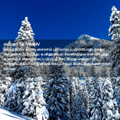 Picture 02 - எஸ்தர் 5:6 TAMIRV - விருந்திலே - Bible Verse Picture