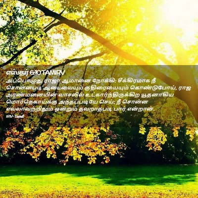 Picture 02 - எஸ்தர் 6:10 TAMIRV - அப்பொழுது ராஜா - Bible Verse Picture