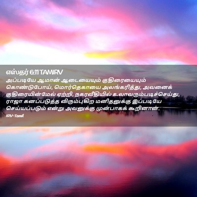 Picture 02 - எஸ்தர் 6:11 TAMIRV - அப்படியே ஆமான் - Bible Verse Picture