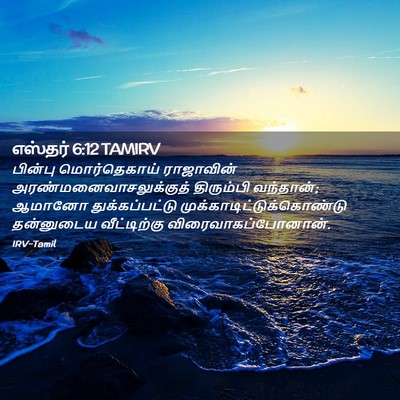 Picture 02 - எஸ்தர் 6:12 TAMIRV - பின்பு மொர்தெகாய் - Bible Verse Picture