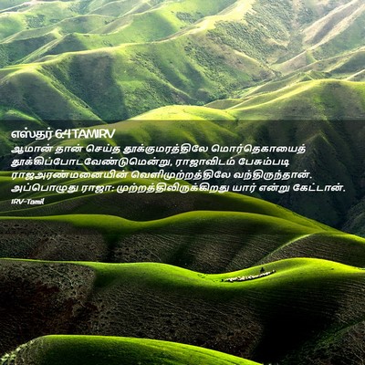 Picture 02 - எஸ்தர் 6:4 TAMIRV - ஆமான் தான் செய்த - Bible Verse Picture
