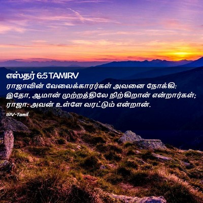 Picture 02 - எஸ்தர் 6:5 TAMIRV - ராஜாவின் - Bible Verse Picture