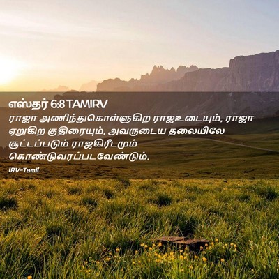 Picture 02 - எஸ்தர் 6:8 TAMIRV - ராஜா - Bible Verse Picture