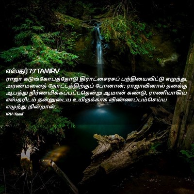 Picture 02 - எஸ்தர் 7:7 TAMIRV - ராஜா - Bible Verse Picture