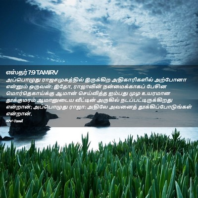 Picture 02 - எஸ்தர் 7:9 TAMIRV - அப்பொழுது - Bible Verse Picture