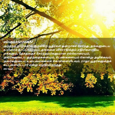 Picture 02 - எஸ்தர் 8:12 TAMIRV - அந்தந்த நாடுகளில் - Bible Verse Picture