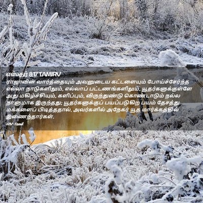 Picture 02 - எஸ்தர் 8:17 TAMIRV - ராஜாவின் - Bible Verse Picture