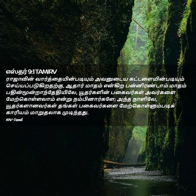 Picture 02 - எஸ்தர் 9:1 TAMIRV - ராஜாவின் - Bible Verse Picture