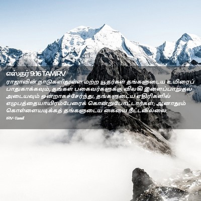 Picture 02 - எஸ்தர் 9:16 TAMIRV - ராஜாவின் - Bible Verse Picture