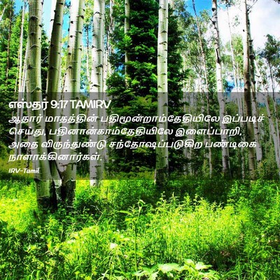 Picture 02 - எஸ்தர் 9:17 TAMIRV - ஆதார் மாதத்தின் - Bible Verse Picture