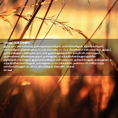 Picture 02 - எஸ்தர் 9:28 TAMIRV - இந்த நாட்கள் - Bible Verse Picture