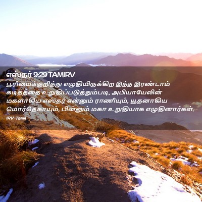 Picture 02 - எஸ்தர் 9:29 TAMIRV - பூரிமைக்குறித்து - Bible Verse Picture