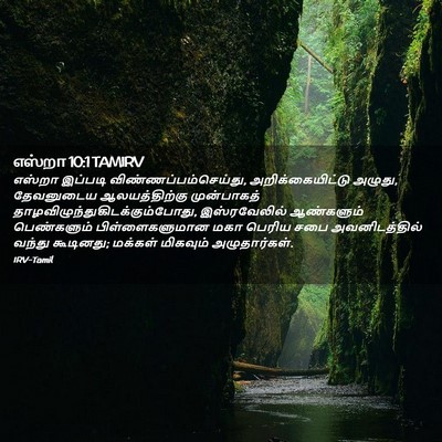 Picture 02 - எஸ்றா 10:1 TAMIRV - எஸ்றா இப்படி - Bible Verse Picture