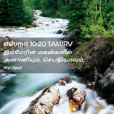 Picture 02 - எஸ்றா 10:20 TAMIRV - இம்மேரின் - Bible Verse Picture