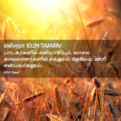 Picture 02 - எஸ்றா 10:24 TAMIRV - பாடகர்களில் - Bible Verse Picture