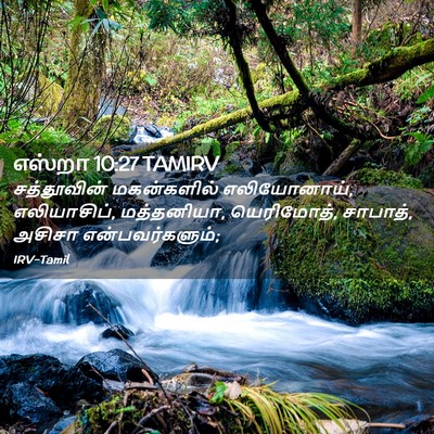 Picture 02 - எஸ்றா 10:27 TAMIRV - சத்தூவின் - Bible Verse Picture